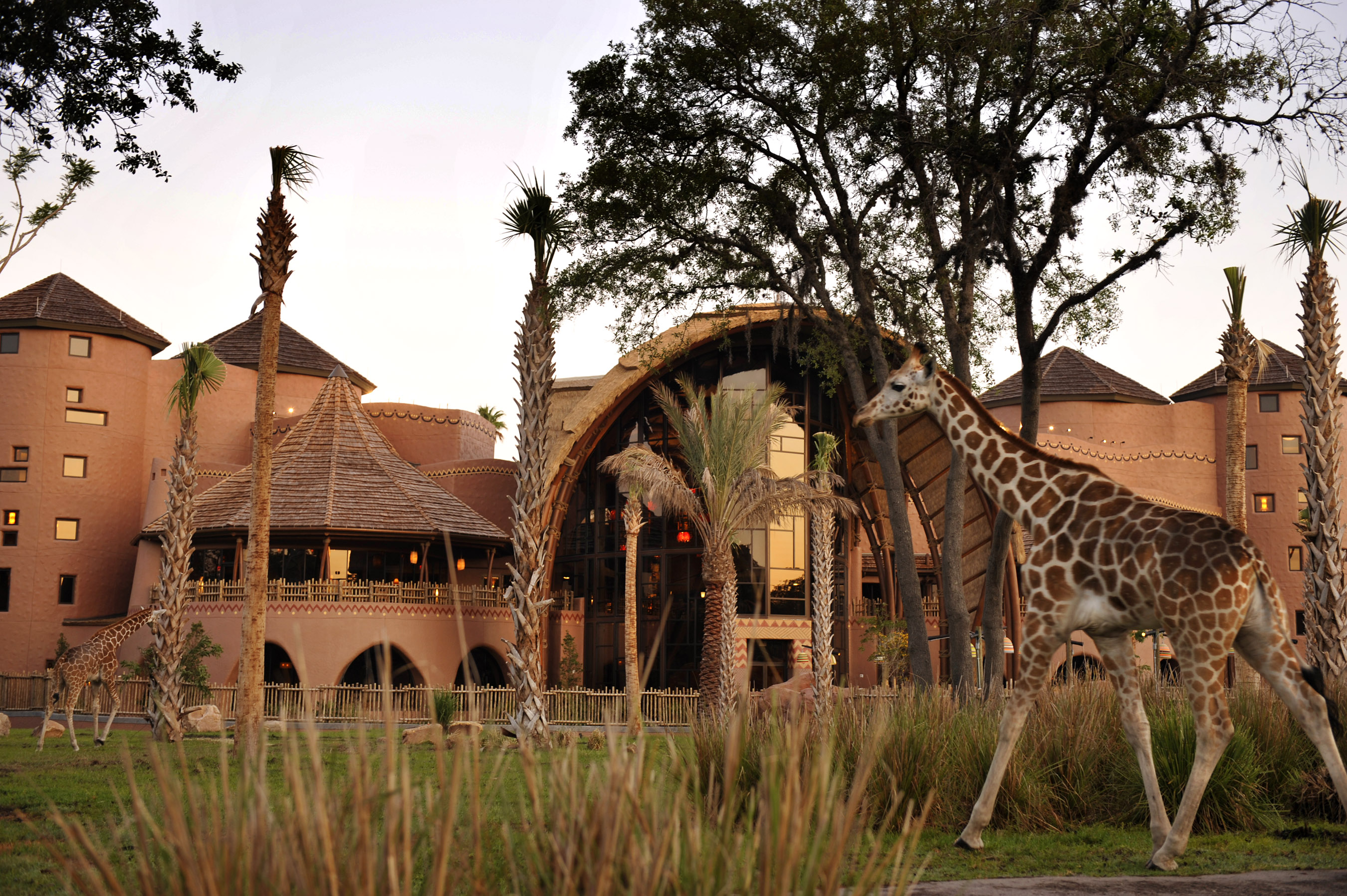 Animal Kingdom Villas